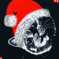 Preview: Jersey Theo Xmas Katzen