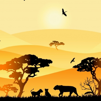 SALE Wild Shadows by lycklig design 100112 Löwe gelb