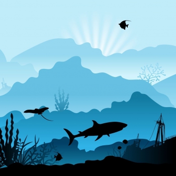 SALE Wild Shadows by lycklig design 100253 Hai blau