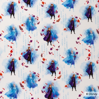 Disney Frozen 2, Jersey  Anna, Elsa weiß 700011 Reststück 70 cm