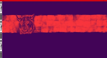 Preview: Pawerful by Thorsten Berger French Terry Luchse orange/lila (Panel)