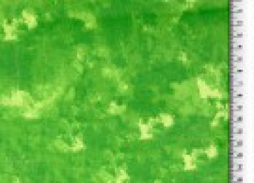 Baumwolle Batik grün