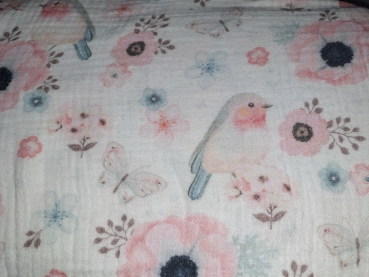 Musselin Rotkehlchen weiss