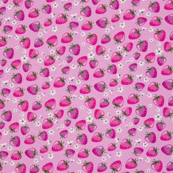 Jersey Melody Erdbeeren