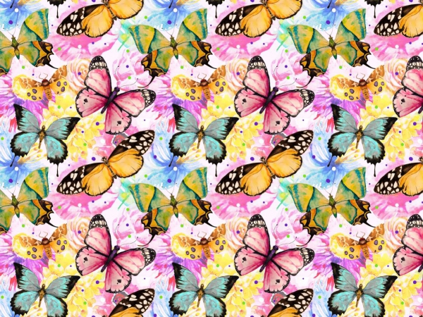 Baumwolljersey Schmetterlinge bunt
